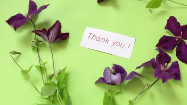 Doğal yeşil arka planda tek mor klematis..