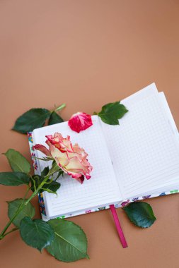 Bir günlükte usulca uzanan narin çiçek..