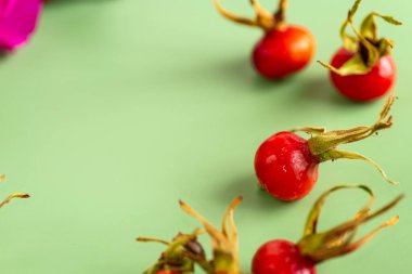 büyük gül kalçalı yeşil arkaplan.