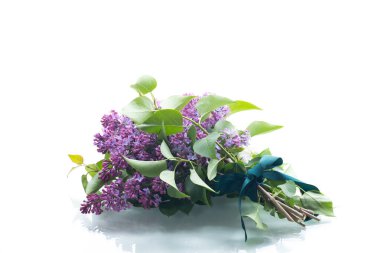 Beyaz arkaplanda beyaz ve mor çiçekli leylakların bileşimi.