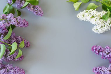 Boşluklu üst görünümde mor leylak.