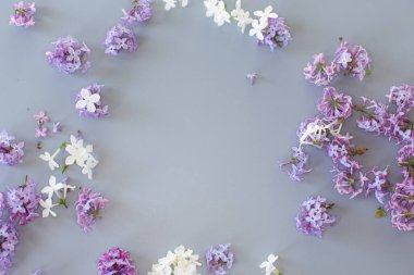 Gri arkaplan üzerinde güzel leylak metin için boş alan.