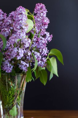 Vazoda bir buket güzel beyaz ve mor leylak..