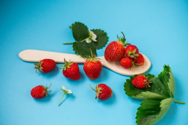 Yukarıdan mavi arka planda olgun kırmızı çilekler..