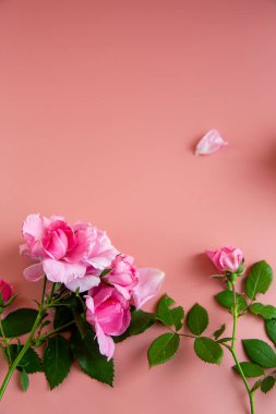 Yumuşak pastel arkaplanda fotokopi alanı olan pembe güller..