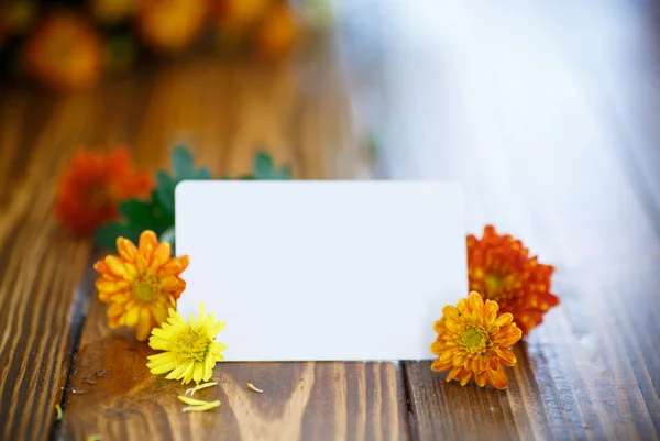 Schöner Strauß heller Chrysanthemen — Stockfoto