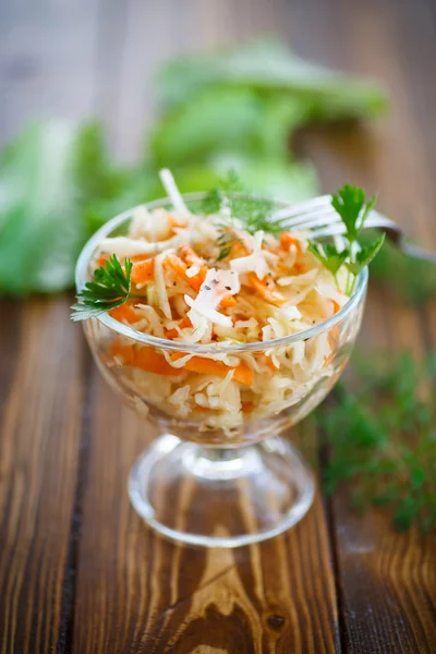 Sauerkraut con zanahorias y especias — Foto de Stock