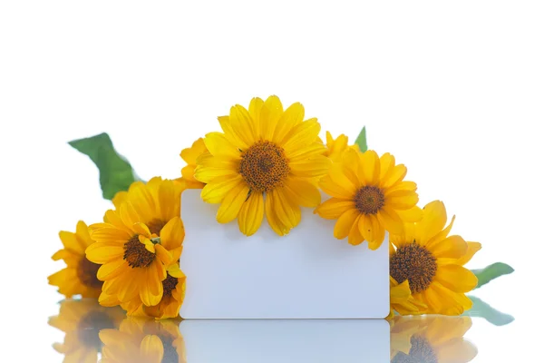 Schöner Strauß gelber Gänseblümchen — Stockfoto