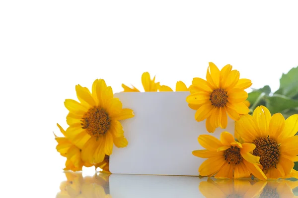Beautiful bouquet of yellow daisies — Stock Photo, Image