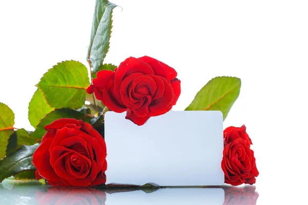 Букет красивых красных роз — стоковое фото