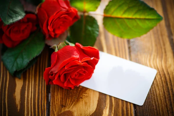 Bouquet di rose rosse — Foto Stock