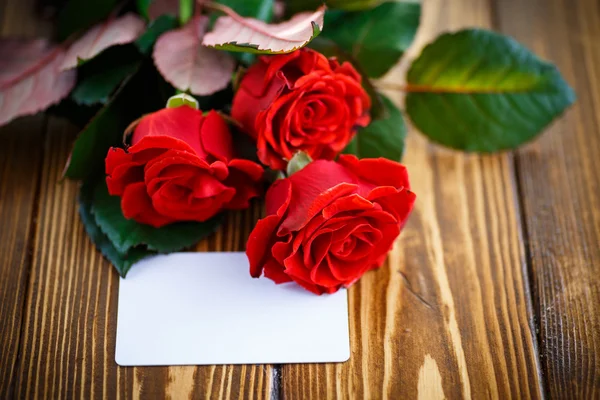 Bouquet di rose rosse — Foto Stock