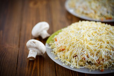 sebze salata katmanlı