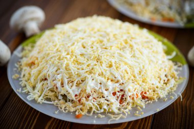 sebze salata katmanlı