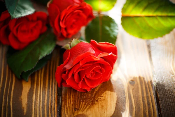 Bouquet di rose rosse — Foto Stock