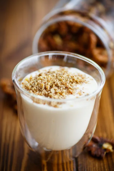 Natural fresh yogurt with nuts — Stock Photo, Image