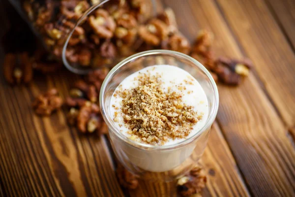 Natural fresh yogurt with nuts — Stock Photo, Image