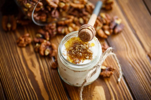 Natural fresh yogurt with  nuts and honey — Stock Photo, Image