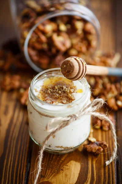 Natural fresh yogurt with  nuts and honey — Stock Photo, Image