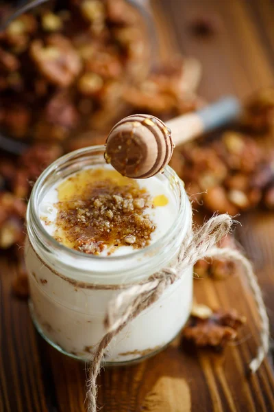 Natural fresh yogurt with  nuts and honey — Stock Photo, Image