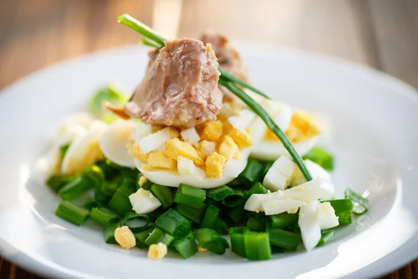 Ensalada con aceite de hígado de bacalao, huevos y cebolla verde — Foto de Stock