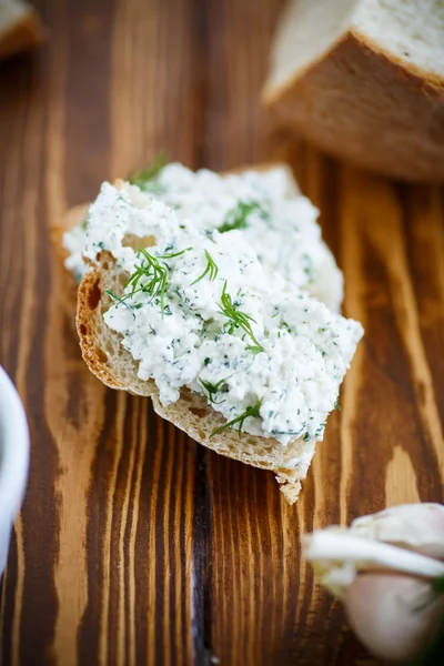 Snack salzigen Käse mit Kräutern — Stockfoto