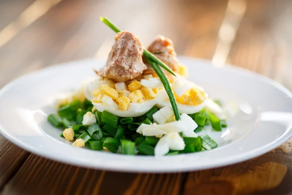 Salad with cod liver oil, eggs and green onion — Stock Photo, Image