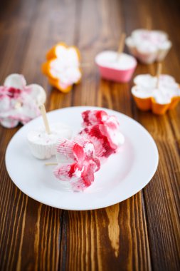 ev yapımı dondurma