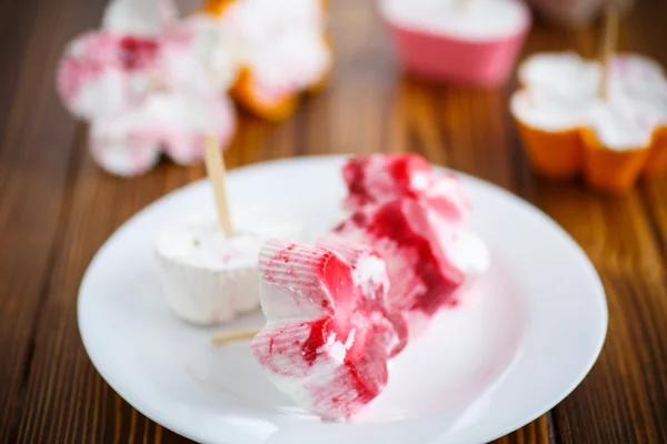 Homemade ice cream — Stock Photo, Image