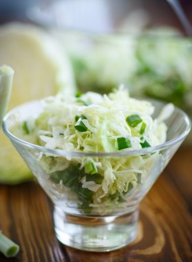 taze bahar lahana salatası