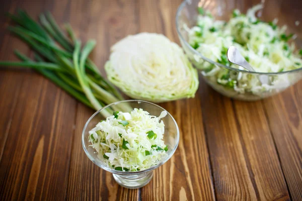 Salad of fresh spring cabbage — Stock Photo, Image