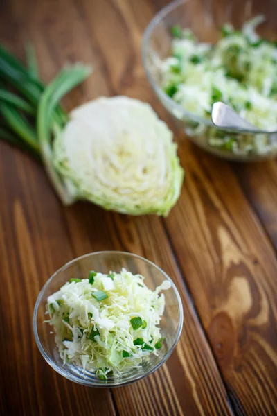 A friss tavaszi Káposzta saláta — Stock Fotó