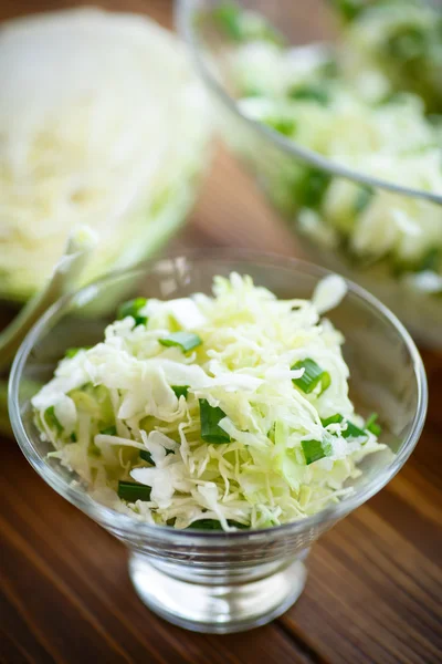 Salade de chou frais de printemps — Photo