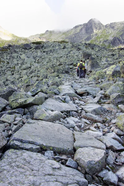 Dağ yolu — Stok fotoğraf