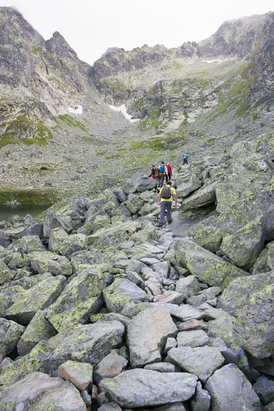 Bergpad tot piek — Stockfoto