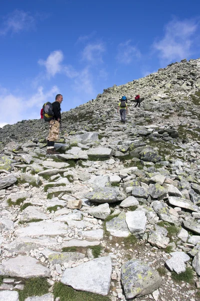 Chemin vers le plus haut sommet du Ploand — Photo