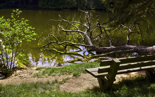 Wooden bench — Stock Photo, Image