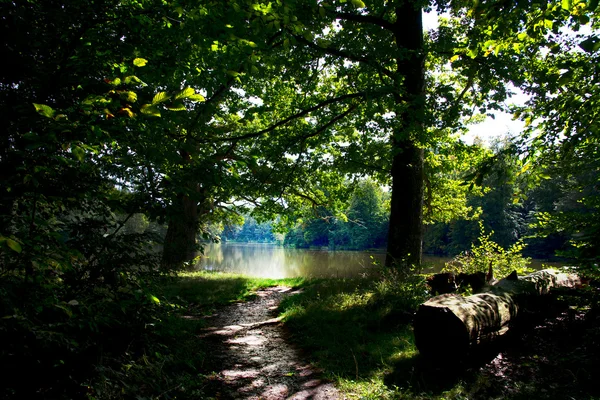 Endroits ombragés sous les arbres Images De Stock Libres De Droits