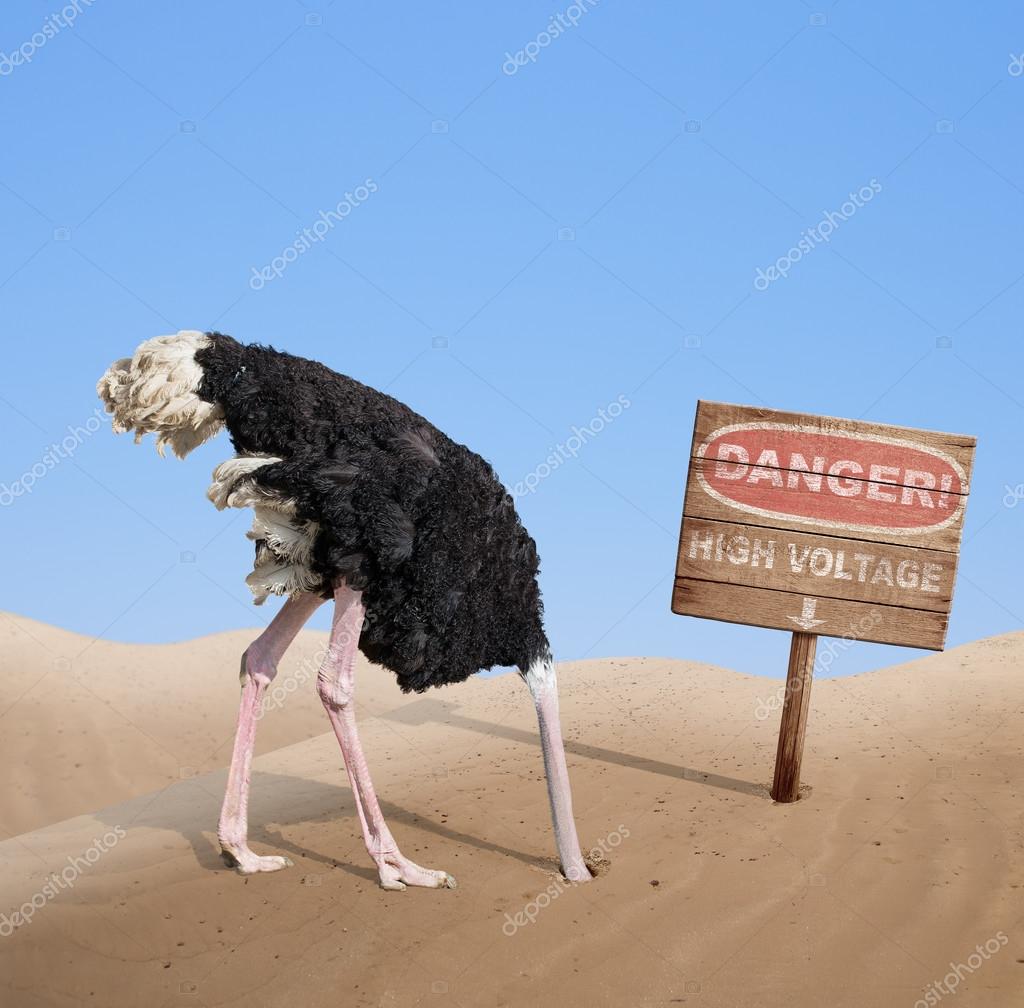 VueltaALaPatria - Venezuela crisis economica - Página 31 Depositphotos_58687487-stock-photo-scared-ostrich-burying-head-in