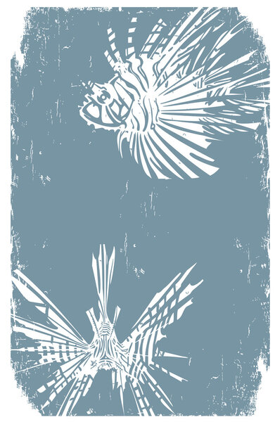 Two Distressed Hipster LionFish