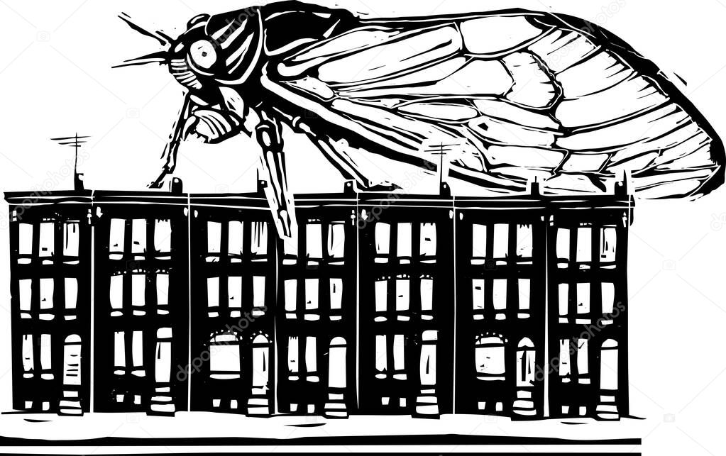 Woodcut expressionist style image of a Brood X Cicada crawling on baltimore row houses