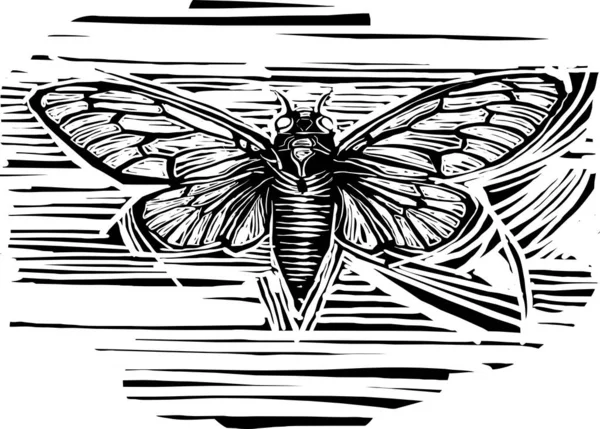 Brood Cicada Nın Kanatları Açık Ahşap Biçimli Dışavurumcu Görüntüsü — Stok Vektör