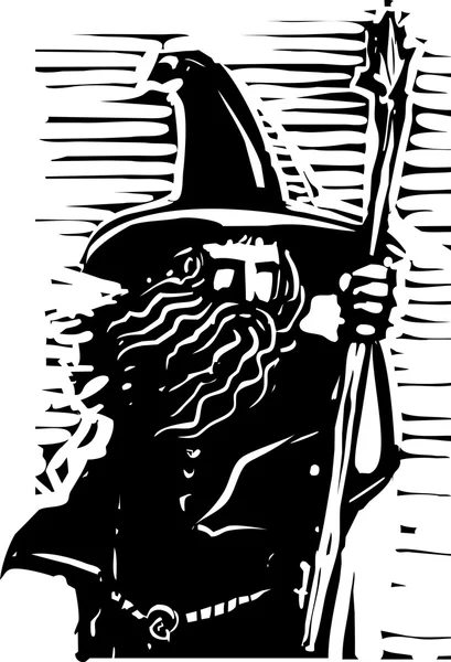 Wizard Bust — Stock Vector