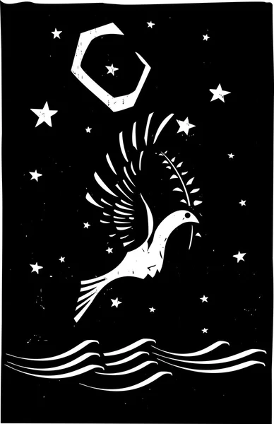 鸽子夜诺亚 — 图库矢量图片