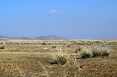 büyük Moğol bozkırlarında üzerinde mavi gökyüzü