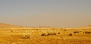 büyük Moğol bozkırlarında üzerinde mavi gökyüzü