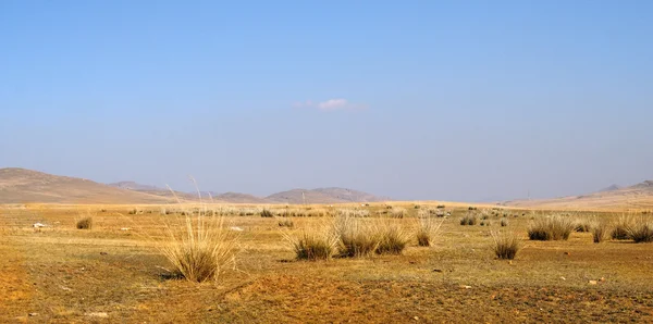 Blauer Himmel Über Der Riesigen Mongolischen Steppe — Stockfoto