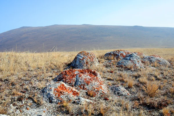 Blauer Himmel Über Der Riesigen Mongolischen Steppe — Stockfoto