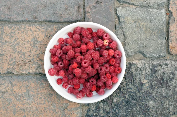 Tampilkan Raspberry Segar — Stok Foto