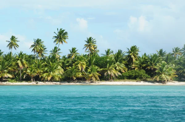 White Beaches Dominican Republic Jungle Adjacent Edge Caribbean Sea — Stock Photo, Image